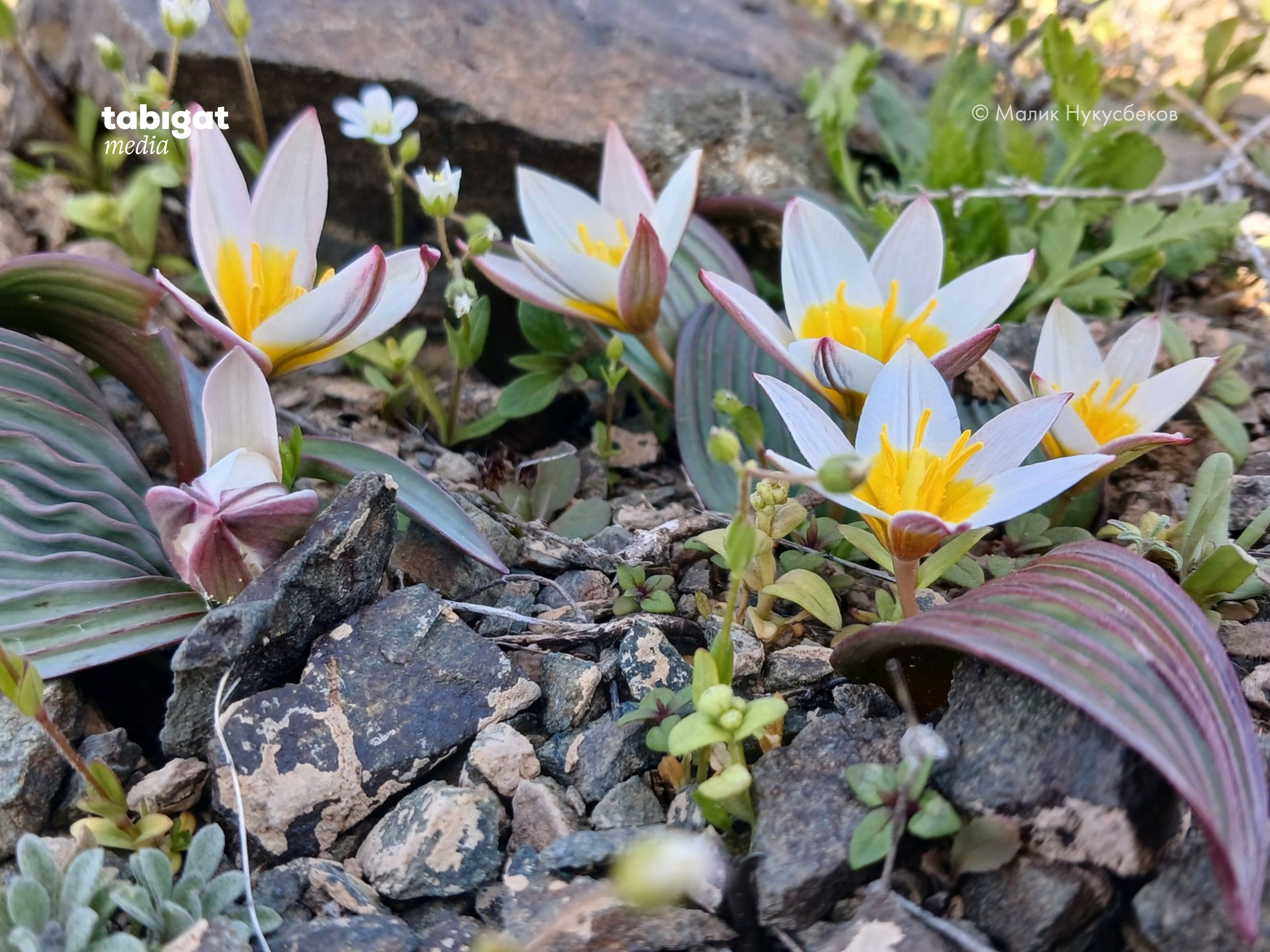 Жетілген әйелдің ең қатты және ең қарқынды оргазмының порно видеосы